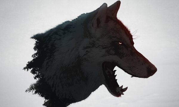 Sans-titre-3 Sans-titre-3