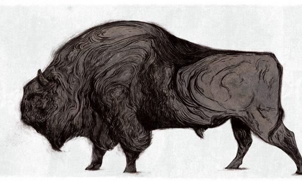 bfcd9942272703.57c70cbbf268b bfcd9942272703.57c70cbbf268b