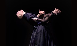 Espectáculo de tango contemporáneo con música en vivo - Tango, amor desconsolado